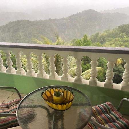 Bed and Breakfast Matthew'S Miracle View à Roseau Extérieur photo