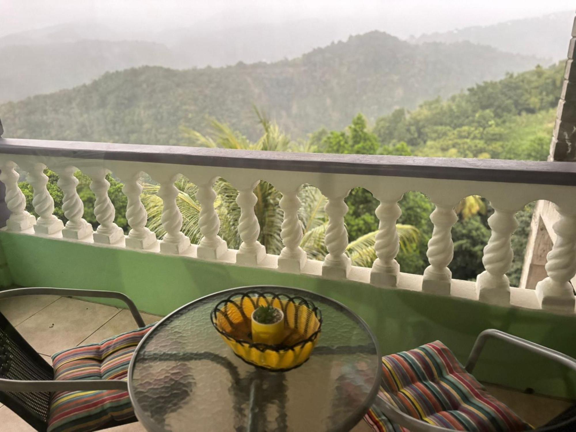 Bed and Breakfast Matthew'S Miracle View à Roseau Extérieur photo